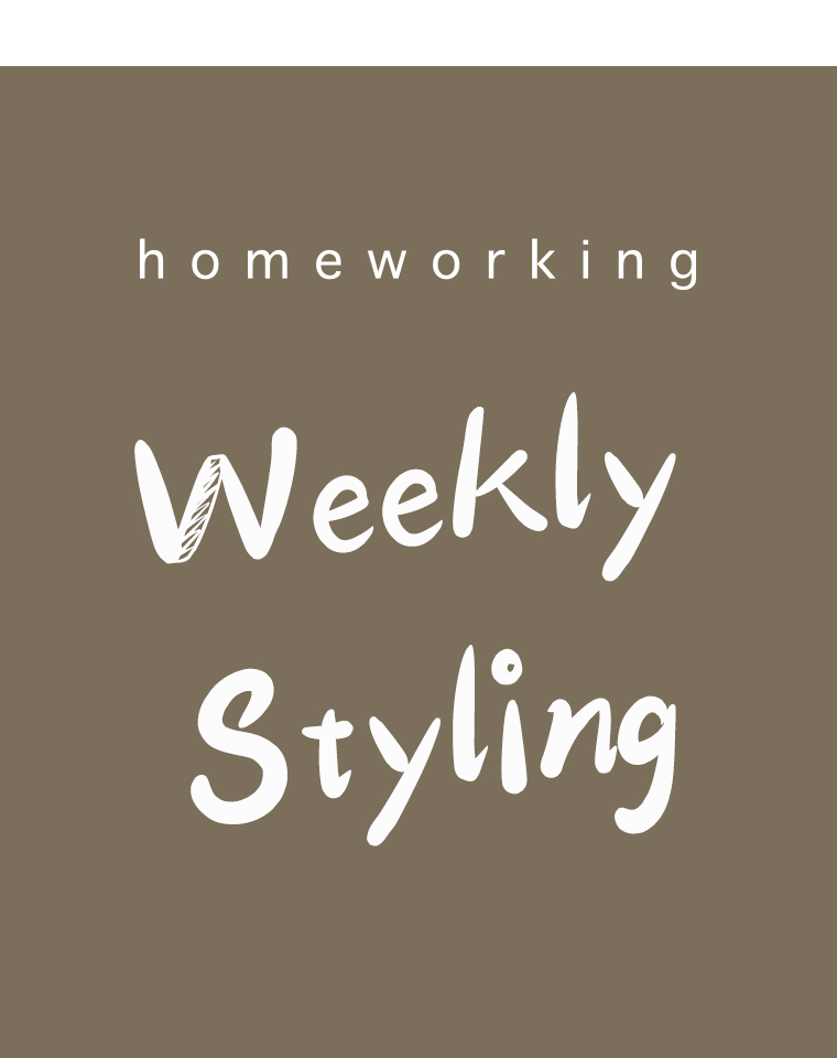 homeworking  style05