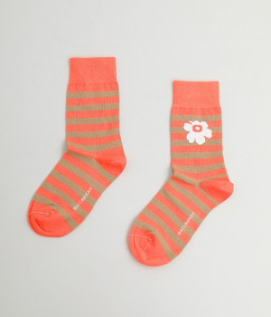 ボーダー×ウニッコソックス