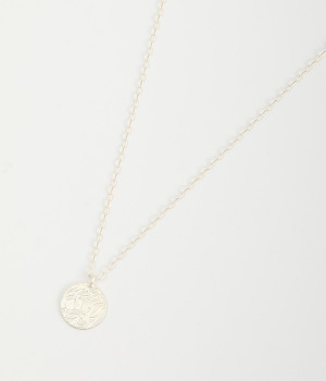 ボタニカルプレート　ネックレス(シルバー-ONESIZE)