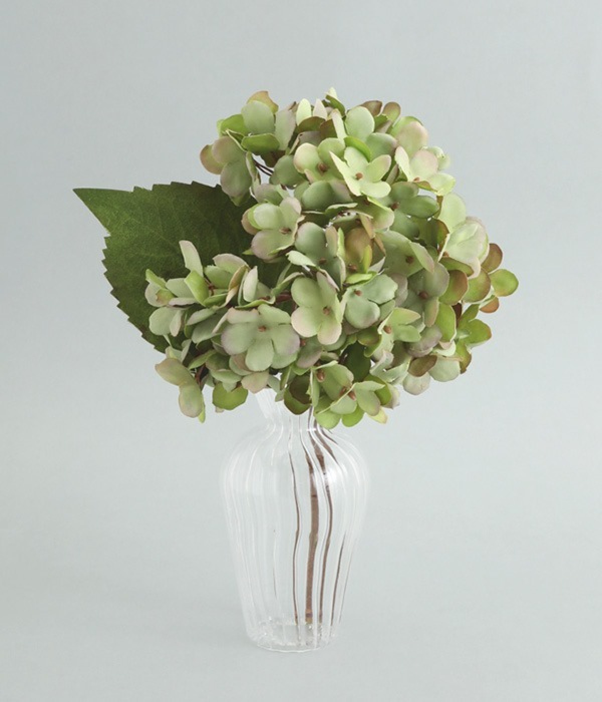 VITRON カットガラス フラワーベース VITRON カットガラス フラワーベース 楽天市場】押し花ガラス