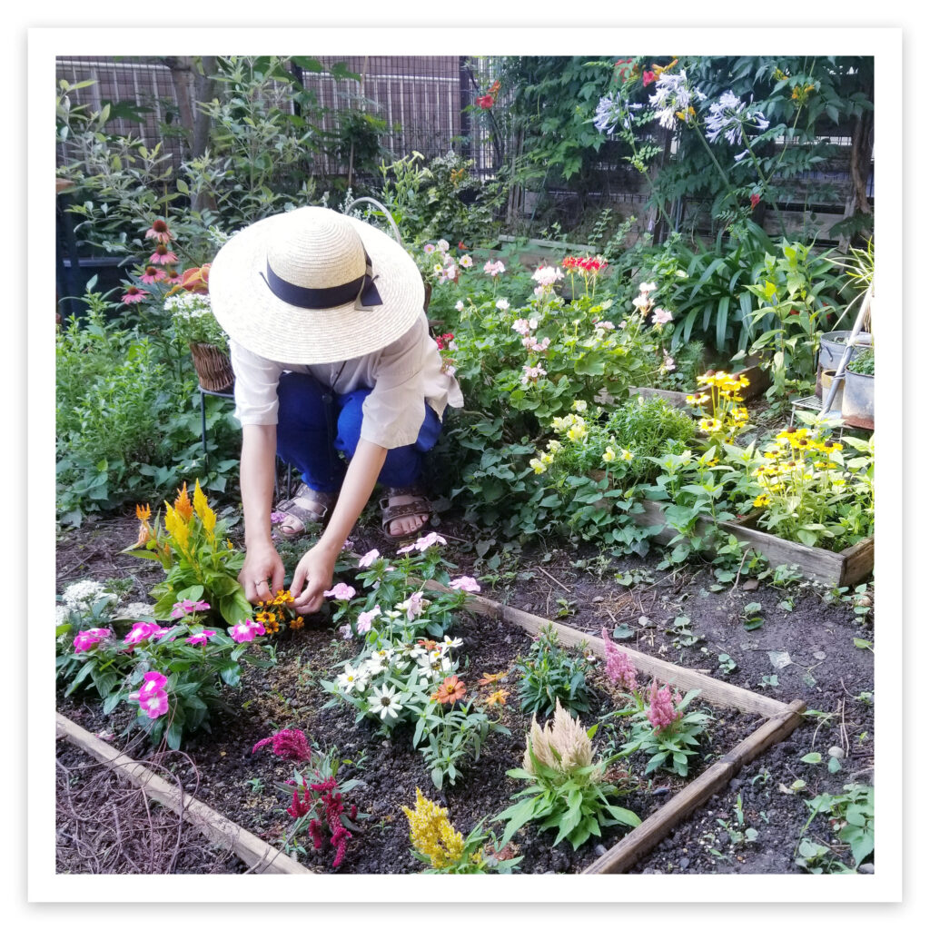麦わら帽子を被り庭作業をするマヤムーンさんの画像