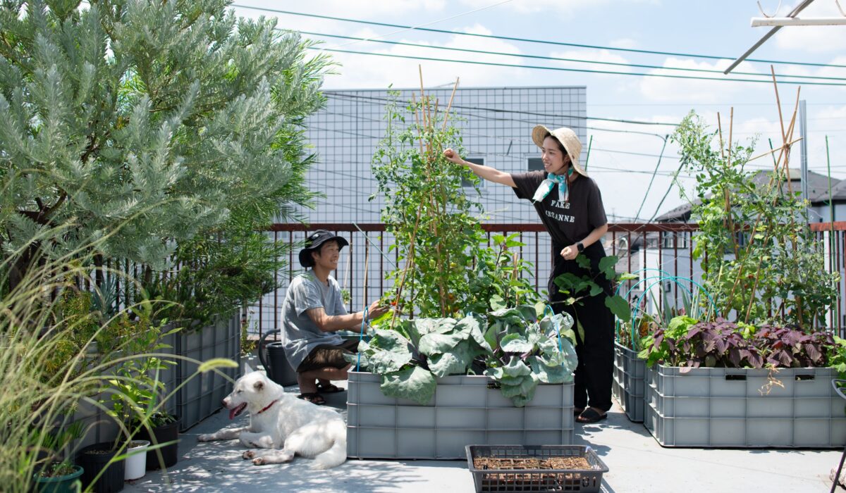 屋上菜園を楽しむ夫婦の画像