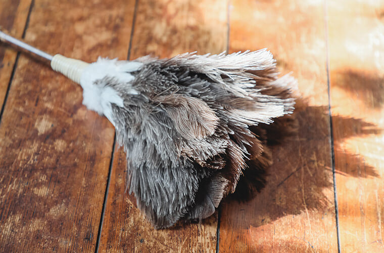 松野屋のダチョウ羽はたき（中）の毛並み拡大画像